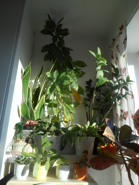2017/02/15/0903.jpg