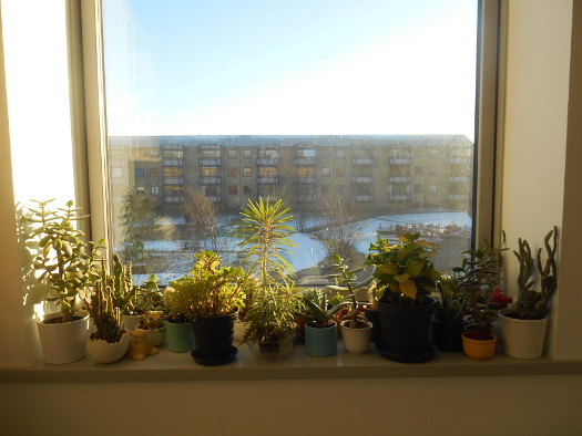 2017/02/15/0904.jpg
