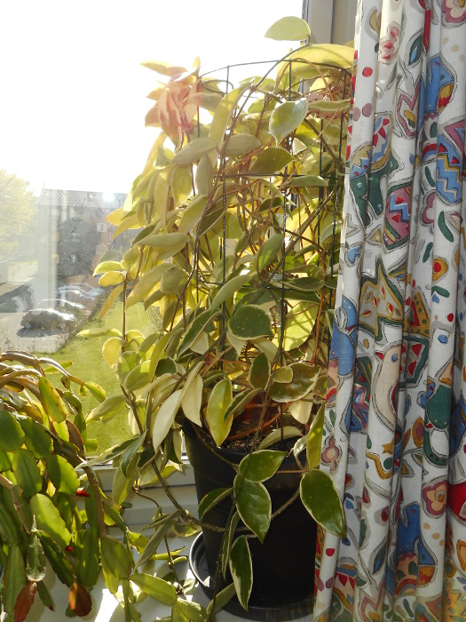 2017/05/06/0605.jpg