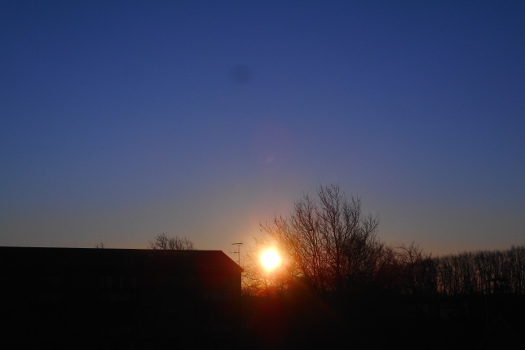 2022/03/01/0601.jpg