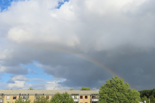 2023/08/08/0501.jpg