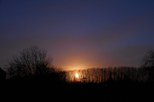 2025/02/06/0301.jpg