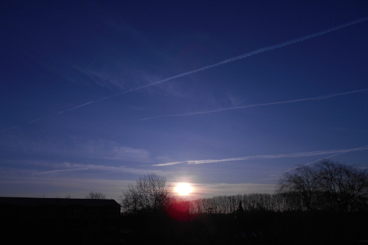 2025/02/20/1001.jpg
