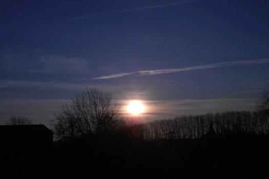 2025/02/20/1101.jpg