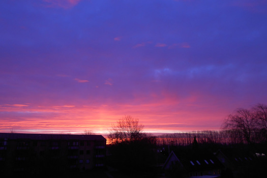 2025/02/24/0301.jpg