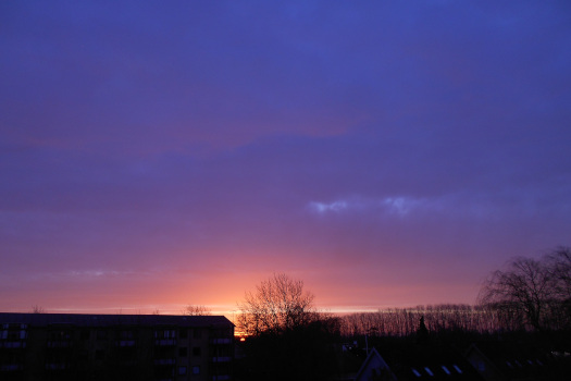 2025/02/24/0901.jpg