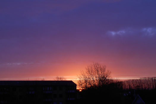 2025/02/24/1101.jpg