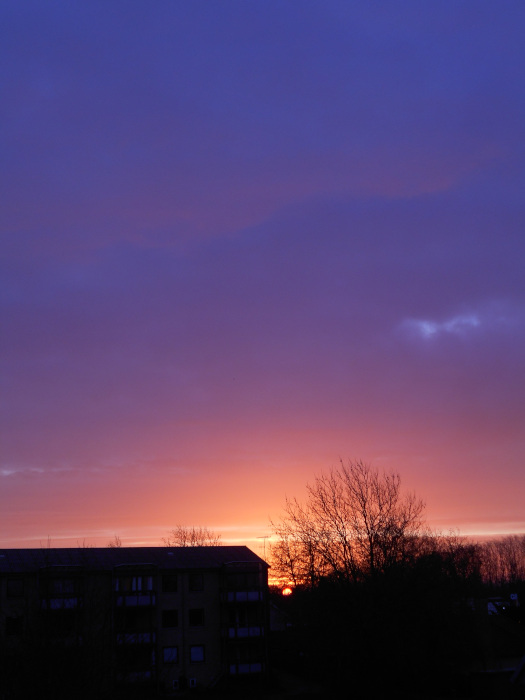 2025/02/24/1201.jpg
