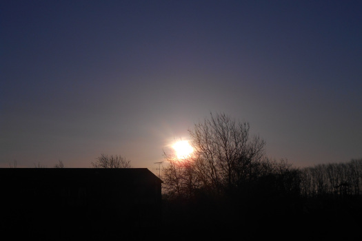 2025/03/06/0601.jpg