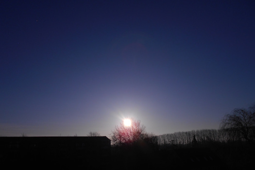 2025/03/06/0801.jpg