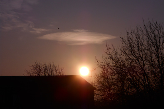 2025/03/07/0401.jpg