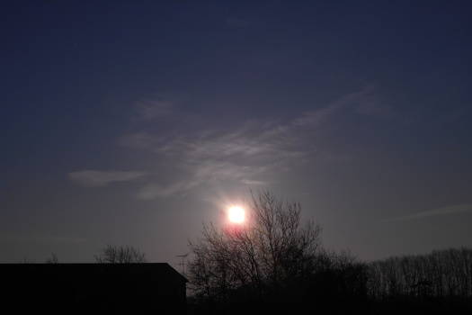 2025/03/07/1101.jpg