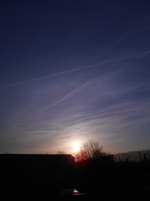 2025/03/08/0801.jpg