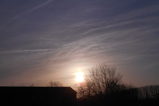 2025/03/08/0901.jpg