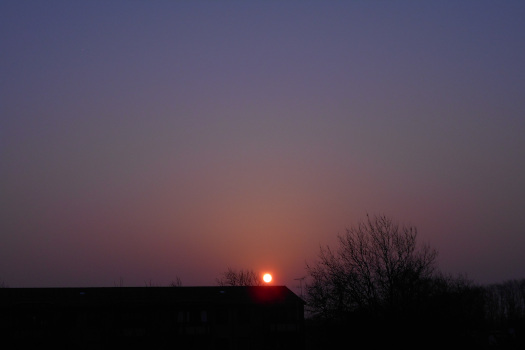 2025/03/10/0301.jpg