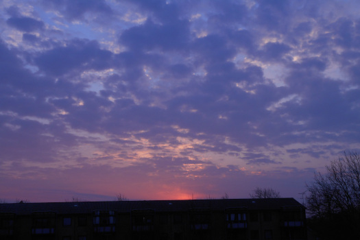 2025/03/24/0301.jpg