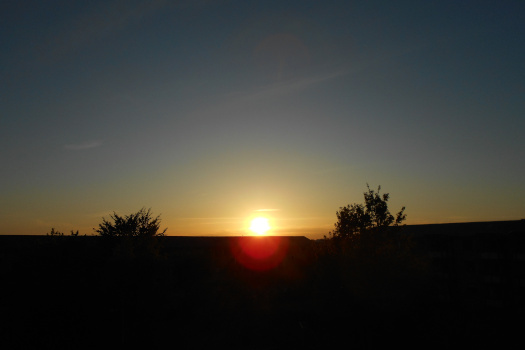 2025/05/05/1101.jpg