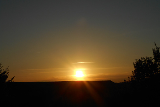 2025/05/05/1201.jpg
