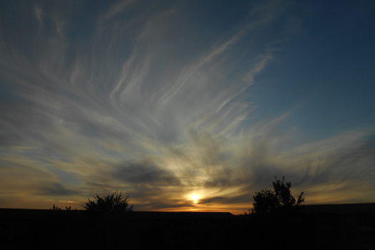 2025/05/06/1201.jpg