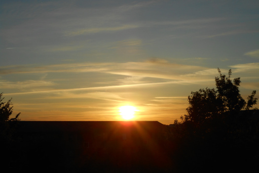 2025/05/08/0701.jpg