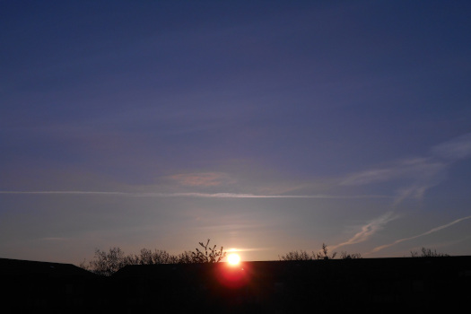 2025/05/12/0601.jpg